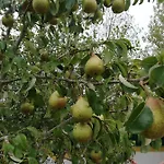 Gospodarstwo agroturystyczne Quinta Sao Martinho *