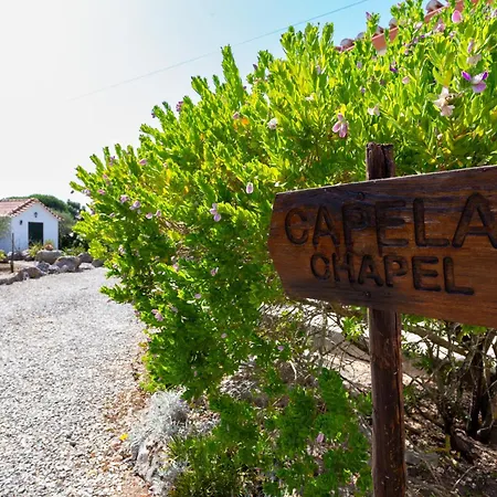 Quinta Sao Martinho ファームステイ Reguengo Grande