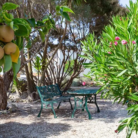 Quinta Sao Martinho Κατάλυμα σε φάρμα
