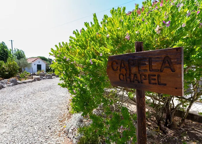 Quinta Sao Martinho Alojamento de Turismo Rural Reguengo Grande